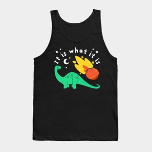 Funny Dinosaur Joke, End Of The World, Meteor Humor, Birthday Tank Top